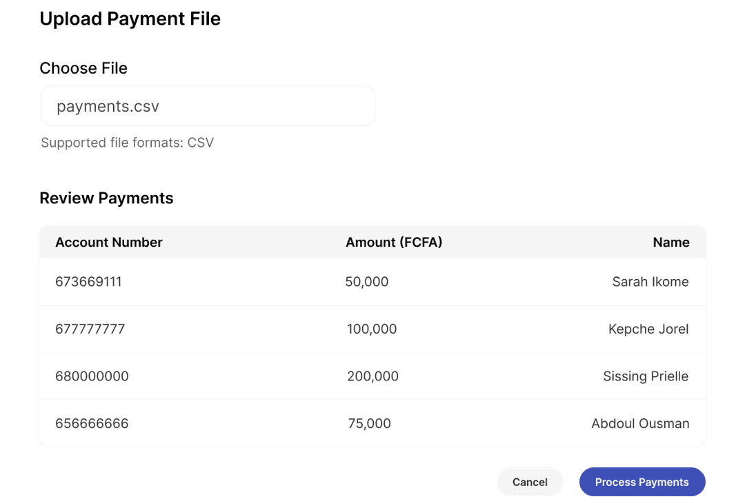 Bulk Payments